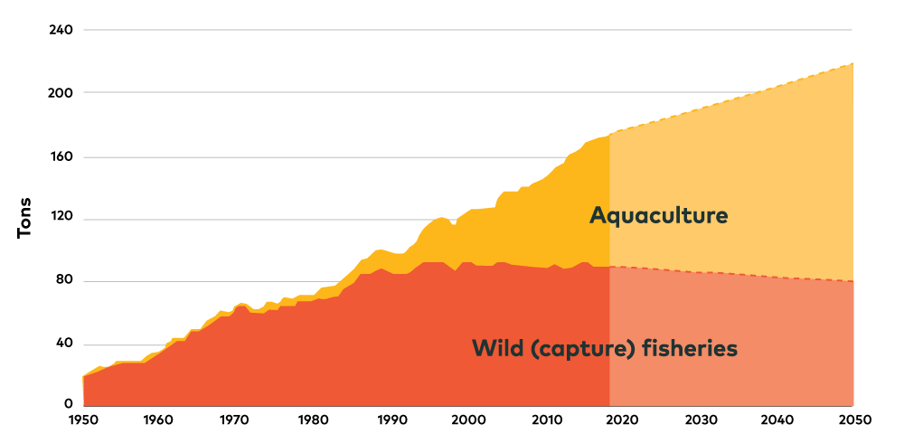 aqua culture projection to 2050